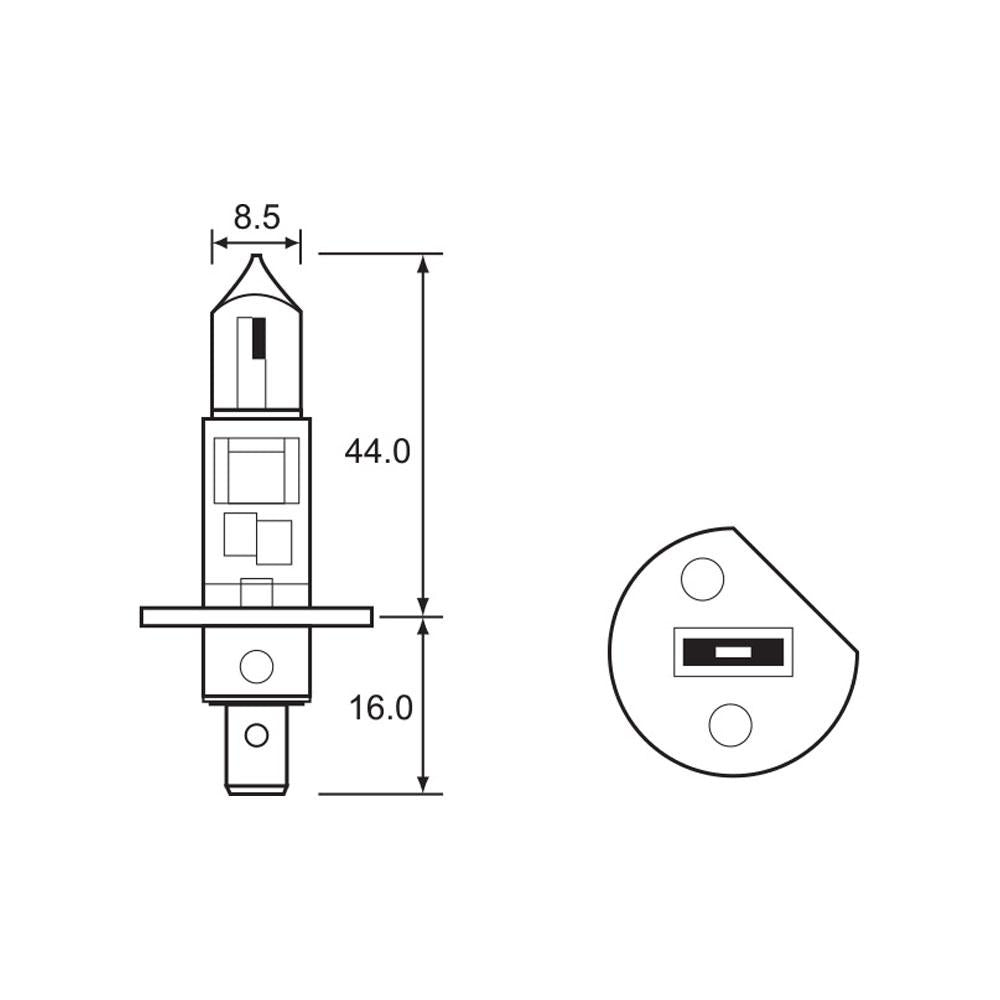 BULB - HALOGEN 12V 55W - H1 - P14.5S
